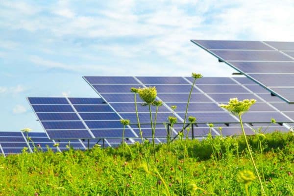 GAIL (India) Limited: Going Green?