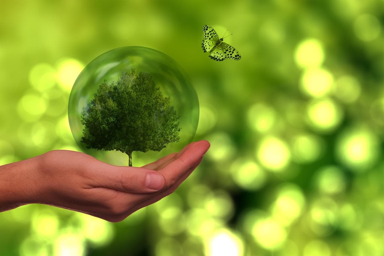Greenturn Idea Factory: Servitization Strategy